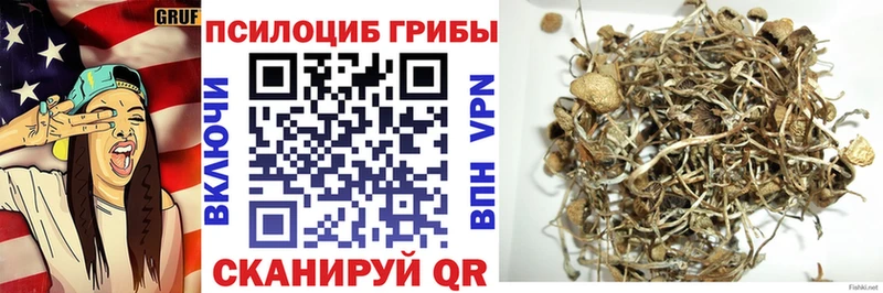 Галлюциногенные грибы ЛСД  Спасск 